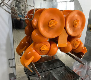 آلة عصارة البرتقال الأوتوماتيكية شديدة التحمل - درجة تجارية 370 واط للحانات / الفنادق